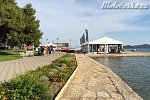 img_8337.jpg