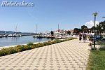 img_8850.jpg