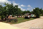 img_0261.jpg