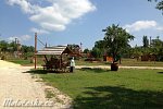 img_0262.jpg