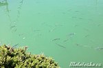 img_0914.jpg