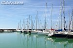 img_0916.jpg