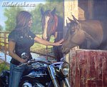 img_1029.jpg